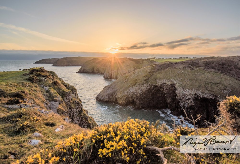 NJBDP's tweet photo. Lydstep appears as February in my 2021 Pembrokeshire Calendar - choose your size and yours will be in tomorrows post! https://t.co/4hh4qZFhGI #Pembrokeshire #Pembs #Coast #Wales #Lydstep #buylocal https://t.co/AsaJW0pXGb