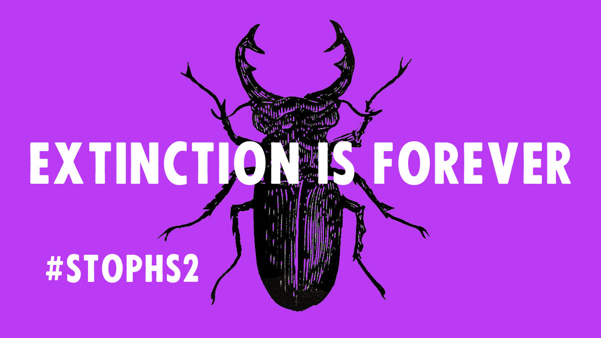 XrSouthEastUK's tweet photo. The Prime Minister says that #ExtinctionIsForever but we need #DeedsNotWords. Our ancient woodlands with their amazing biodiversity are irreplaceable, their loss can not be mitigated. So, we will rise up &amp; we will #StopHS2  We are nature defending itself. #ConscientiousProtectors https://t.co/OzMhEAijIo