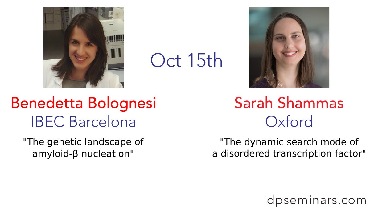 IDPseminars's tweet photo. Next week, we are thrilled to welcome Benedetta Bolognesi (@Bennibolo) and Sarah Shammas (@shammas_sarah)! Expect deep mutational scanning and binding mechanisms of IDP:DNA interactions.
New participants sign-up at: https://t.co/gqqT06y8mE https://t.co/E50wzS9v03