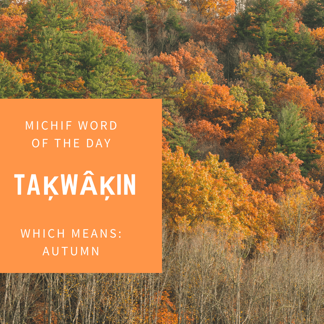 ABMetisYouth's tweet photo. #Michif word of the week, Taķwâķin!

This word means Autumn🍂

Is Taķwâķin your favorite season?

#MetisLanguage #IndigenousLanguages https://t.co/GEQUDrKOQU