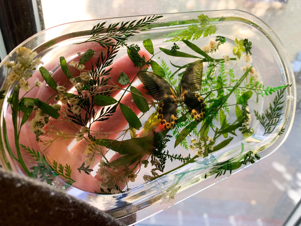 alices_artwork's tweet photo. Butterfly tray 🥺 https://t.co/9HkUEZOGmP