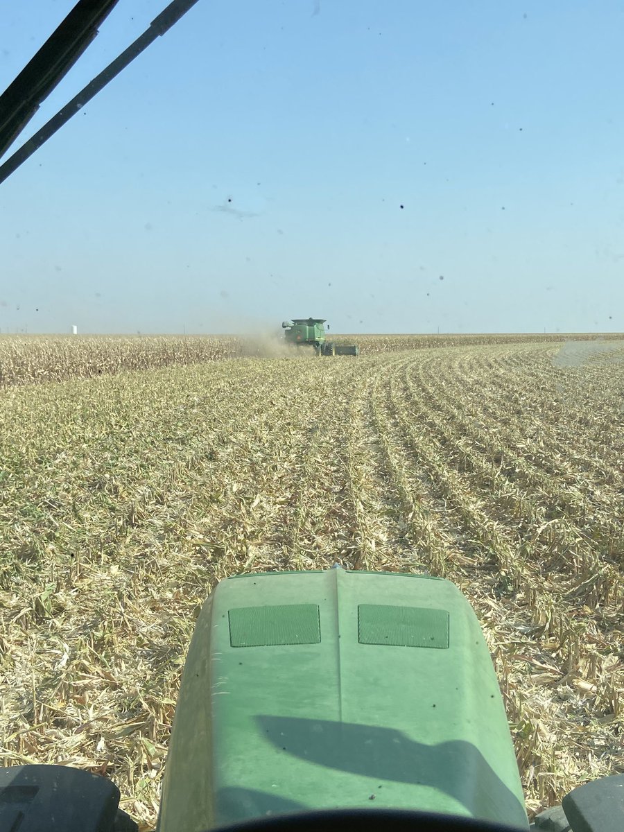 Anyone got one of those combines with the auger on the right side like the magazines? Harvesting with a 76 year old keeps you on your toes. #harvestefficiency