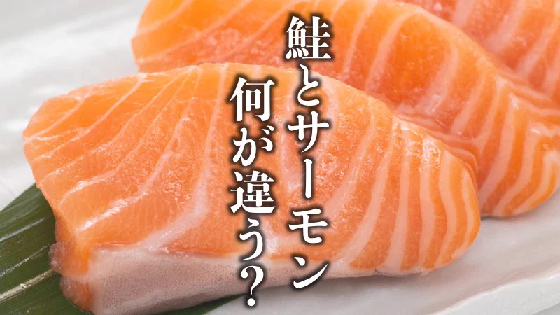 ウェザーニュース on X: 