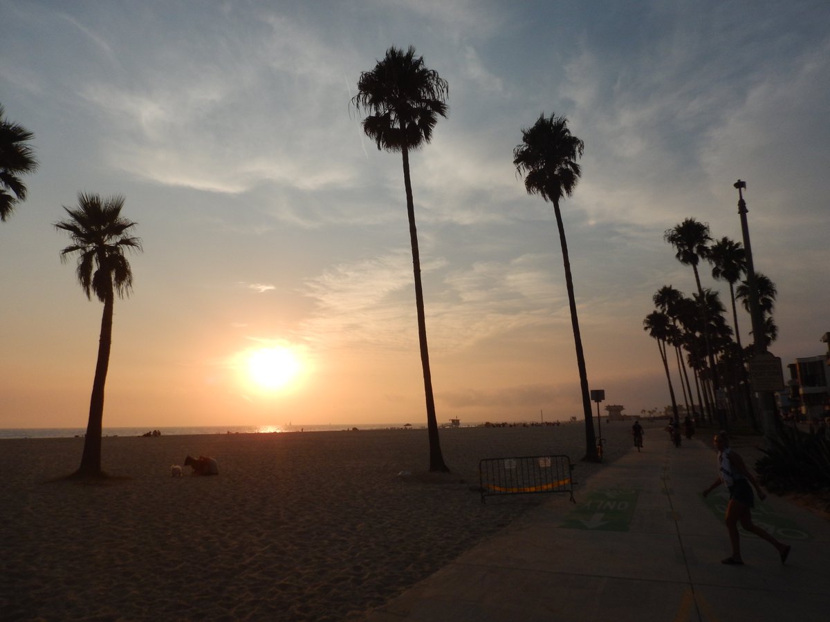 GriffKohout's tweet photo. #greencloudartorg we out here yo!
#Peace #Love #unity to all #Humans #ancientaliens #homeless #Homies of mothership #spaceship eARTh!
#life is the Gift & #mothereART's #Beauty is THE WEALTH!
#wearetheearth #doorstown #LA #tbt #Blm #sunset #copwatch #Homelessness #streetart #art https://t.co/eebaQWlI6c
