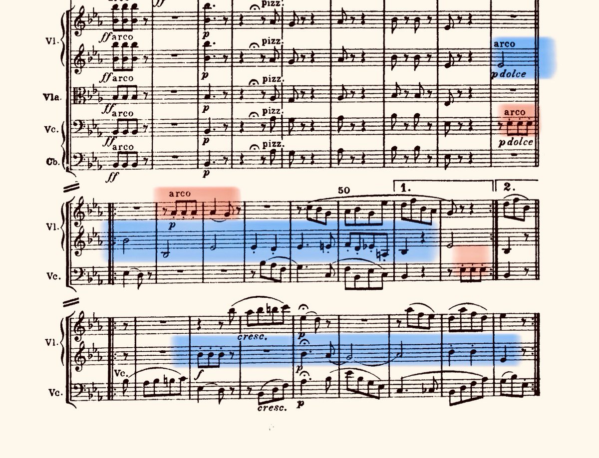 The first variation presents the material in the second violins, now no longer plucked, but broadly bowed. Accompanying the theme are various motivic fragments, of which the repeated three-note figure will remain especially prominent throughout the movement.22/50