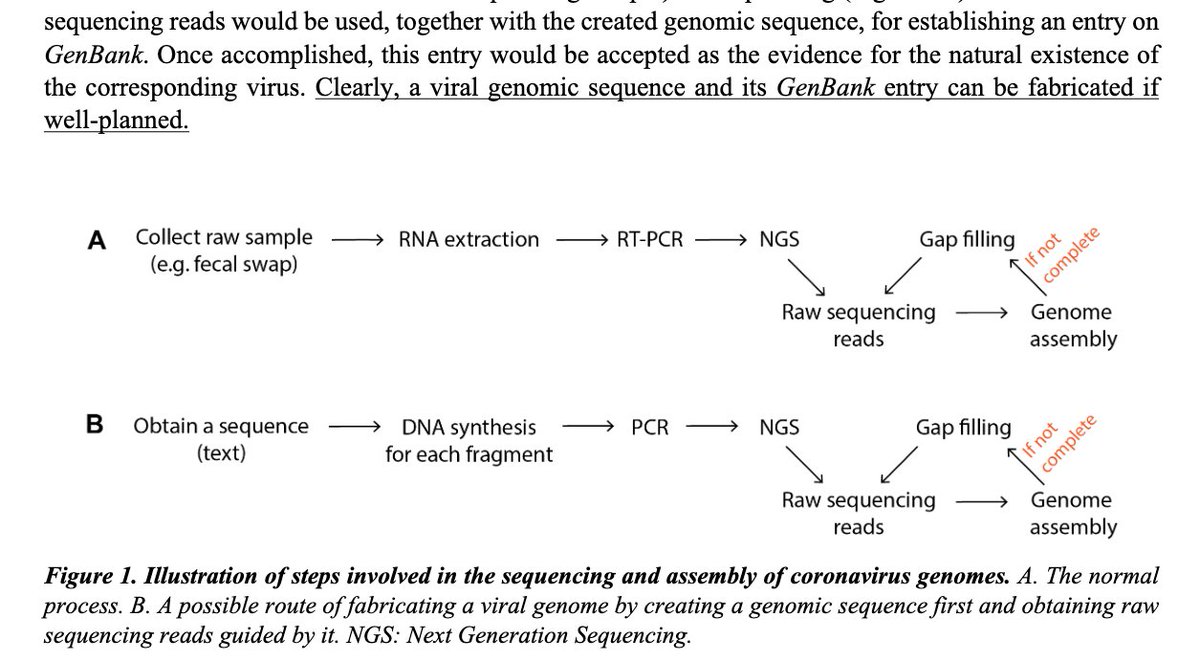 It even includes a silly PCR-based scheme for faking raw sequencing data for deposit into GenBank, because the nefarious coronavirus weaponeers would need to upload realistic looking data that would fool the savvy curators of GenBank. BUT IT'S NOT FOOLING DR. YAN AND COLLEAGUES!
