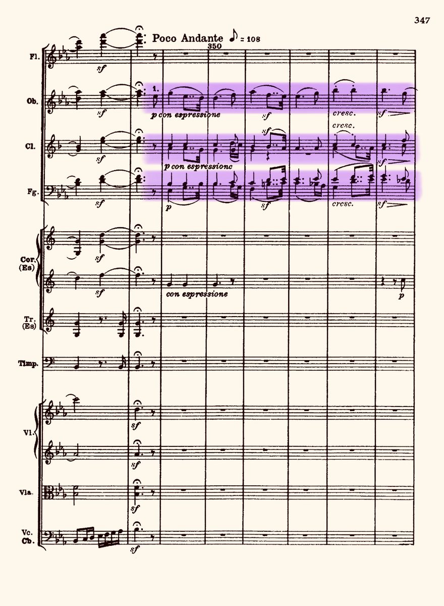 After this intense and thickly textured variation, the momentum is broken by a variation—marked “poco andante”—which seems like a gentle chorale; creating a sense of repose. 31/50