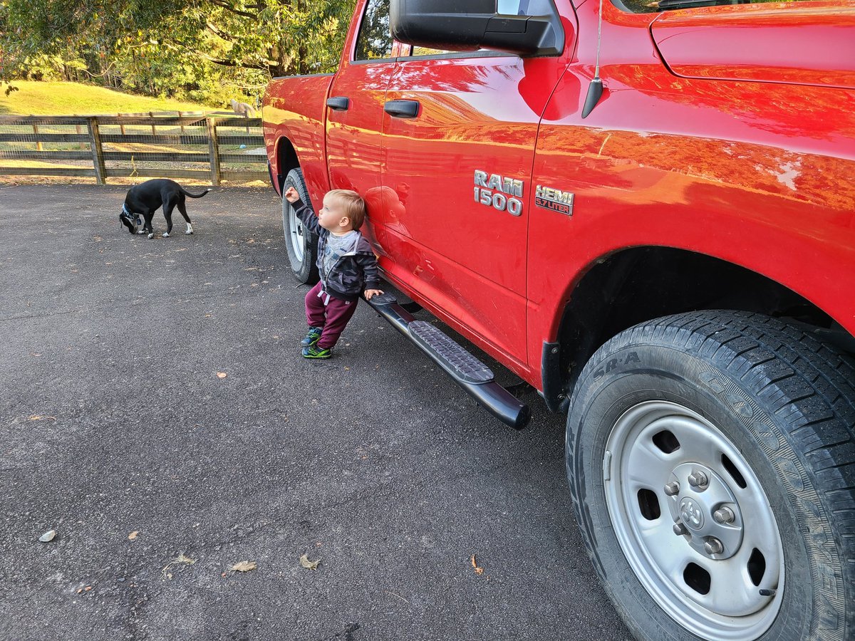 Look at this kid just chillin like a big guy! 

Also showing up at the feed store with <a href="/CohhCarnage/">Cohh Carnage</a>'s car because we had to take the truck to the mechanic was pretty hilarious 🤣