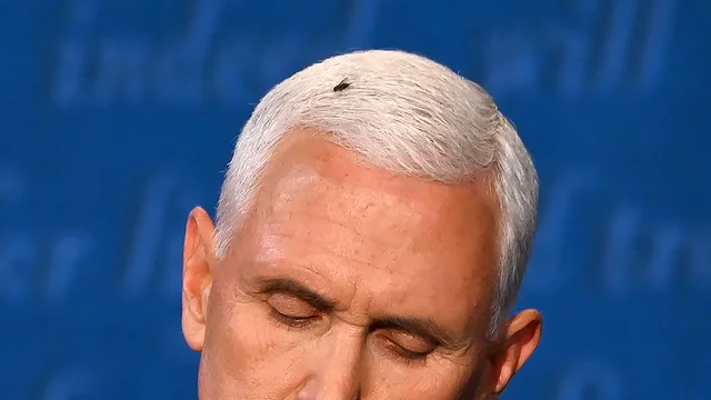 tomiahonen's tweet photo. "Bzzz. Bzz-zzzz. Bzzzz. BZZZ! BzzZZZzzz, Bzz bzz BZZZzz."

[Translation not available]

#FlyWillVote #Flygate #Flygate2020 #FlyPence https://t.co/8RYTAKZvpN
