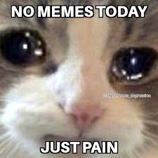 follow my new account @umplifyfn tweet media