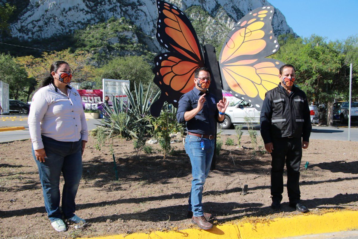 _CastilloHector's tweet image. El paso de la mariposa monarca en nuestra ciudad es un espectáculo que nos brinda la naturaleza, es por eso que cuidar su recorrido es una labor que a todos nos toca. Agradezco a @correorealmx y #Profauna, quienes haciendo equipo con #SEDUE apoyan a crear conciencia.