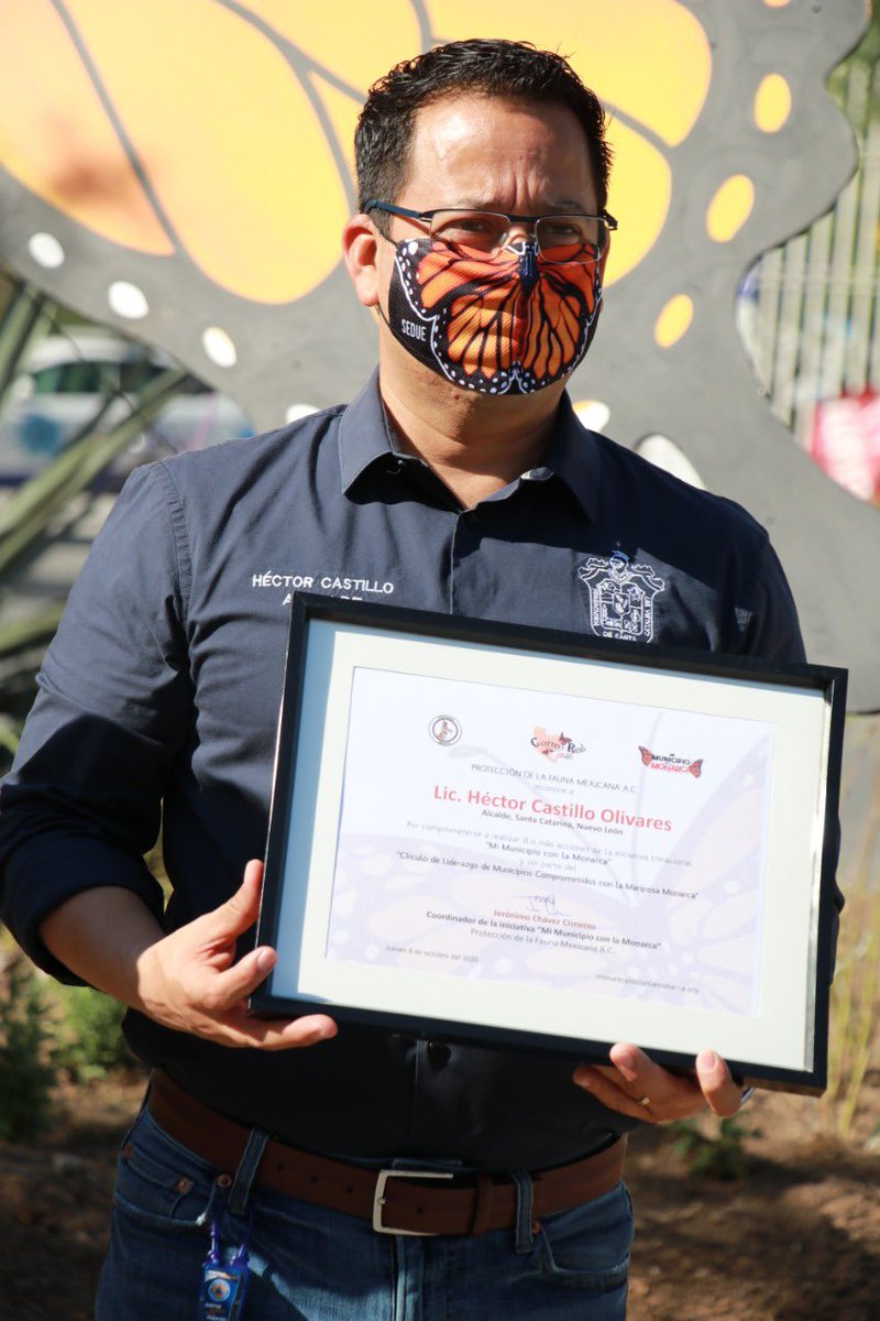 _CastilloHector's tweet image. El paso de la mariposa monarca en nuestra ciudad es un espectáculo que nos brinda la naturaleza, es por eso que cuidar su recorrido es una labor que a todos nos toca. Agradezco a @correorealmx y #Profauna, quienes haciendo equipo con #SEDUE apoyan a crear conciencia.