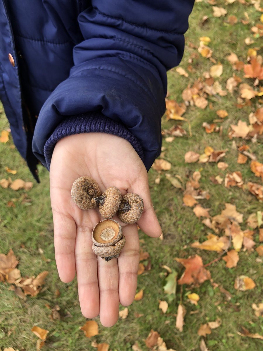 Colleen Mielen, MEd (ECE), OCT (she/her) tweet media