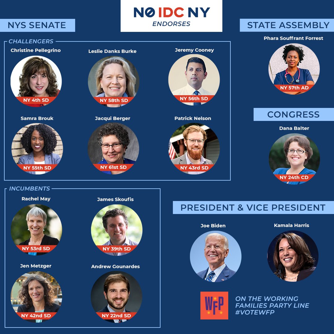 2 years after the IDC was crushed, 2020 brings a great opportunity to make the NY State Senate, Assembly and Congress more progressive and win new gains for criminal justice, housing, schools and fair taxation.Our endorsements highlight some great candidates leading that wave.