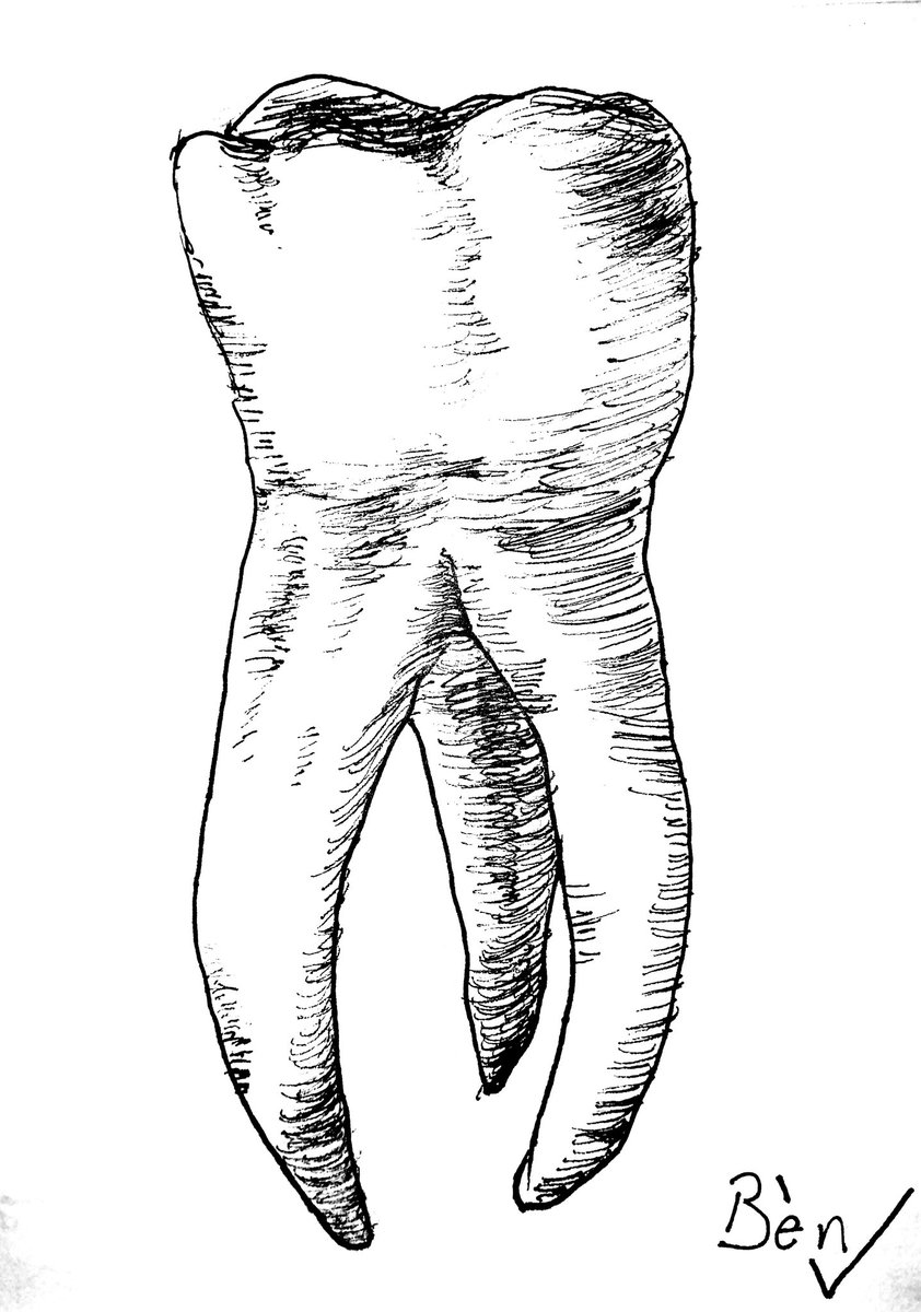 wallcus's tweet image. #inktober2020
#inktober2020day8
More of a study than an inspired piece, but hey I guess inktober can be about doing things you normally might not