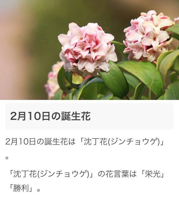 Conversation Between 長野 じゅりあ And Juria210 2 Whotwi Graphical Twitter Analysis Conversation Between 長野 じゅりあ And Juria210 2 Whotwi Graphical Twitter Analysis