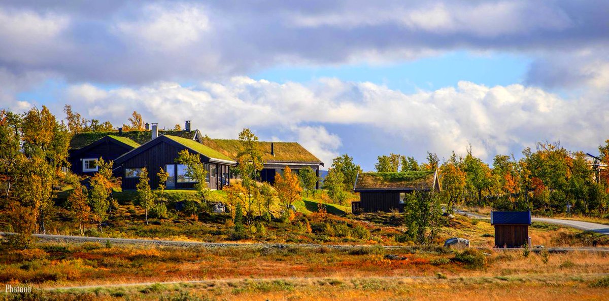 Photono9's tweet photo. Cabins in Norway.😍 https://t.co/gI1NMh8xb9