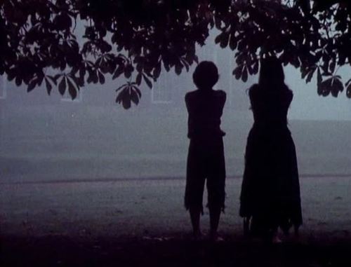8/31 LOST HEARTS (1973) A young orphan sent to his older cousin's remote country house has visions of a girl and a boy with a lacerated chest. Uncanny images, misty tones, and a spectral soundtrack that captures the eeriness of the original tale.  #31DaysofHalloween