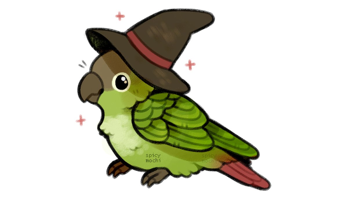 wizard bird