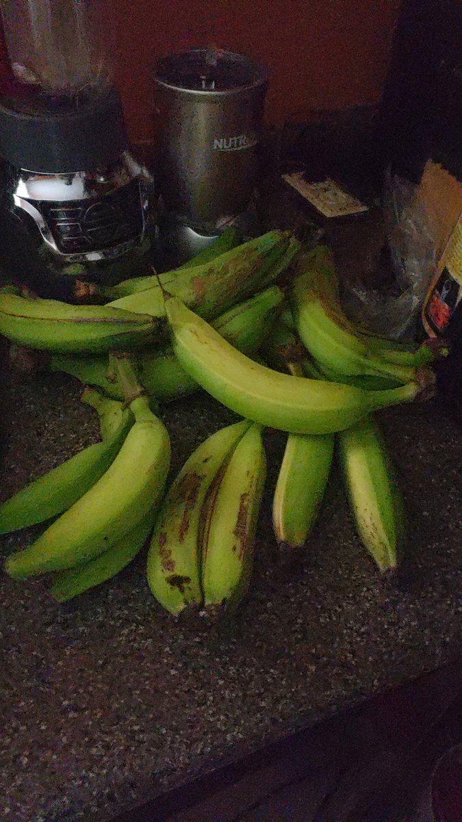 WalkerKimeka's tweet photo. @MrJSGibson @yooneedmorejodi Planted a few suckers, got these yesterday. Hussy asked "who we gonna share with" i haven't answered yet....he knows im leaning towards "nobody" https://t.co/hEjD5nzymi