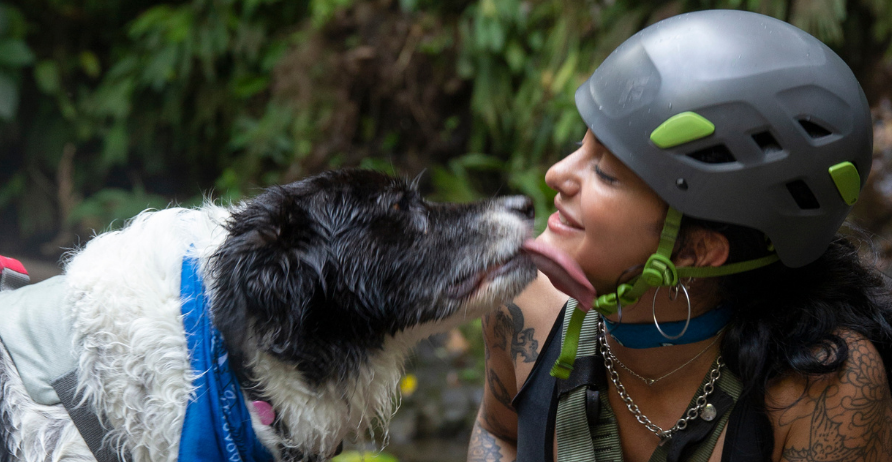 ProdSerie's tweet photo. The Pack chega dia 20/11 no #primevideo, celebrando o vínculo entre cães e humanos. Estrelado pela medalhista olímpica Lindsey Vonn e a Lucy, o programa apresenta 12 equipes de cães e  donos em uma aventura épica passando por vários continentes. 

#producaoemserie https://t.co/Gnli12CLJi