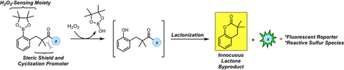 angew_chem's tweet photo. An Innovative Hydrogen Peroxide-Sensing Scaffold and Insight Towards its Potential as an ROS-Activated Persulfide Donor (Lukesh) @LukeshGroup @WakeChemistry #ReactiveOxygenSpecies #persulfides #ChemicalProbes https://t.co/CJPcTSzwGK https://t.co/Hbc76EGa56
