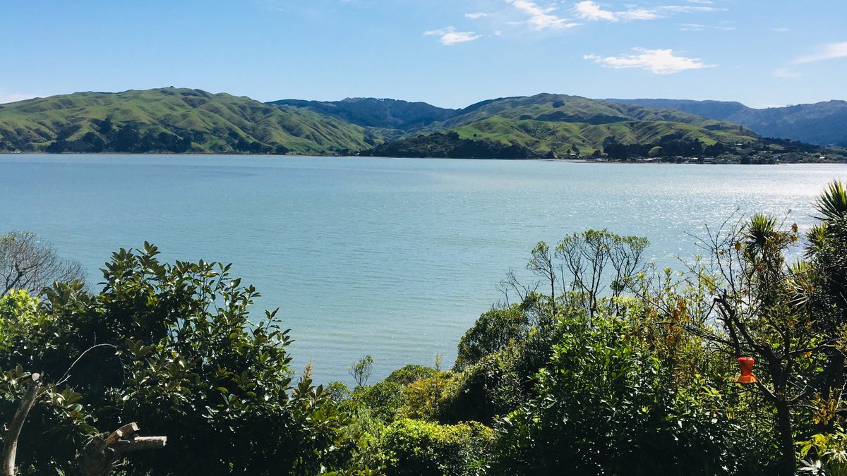 Morning North Island! Show tonight in Wellington at Capital Blues, details at my fb, see ya there!

#wellingtonshow #americana #NZmusic