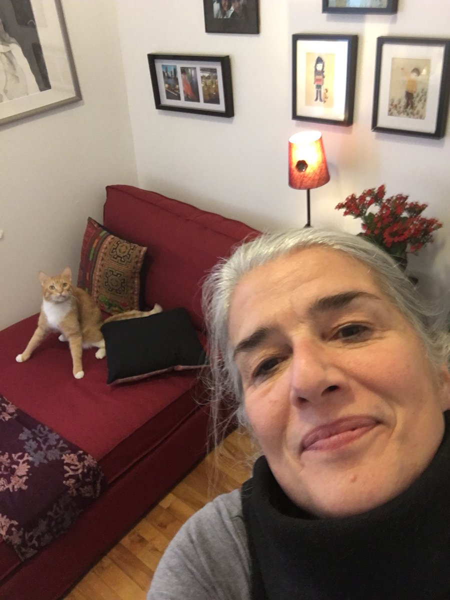 lemonthecat's tweet photo. My mom and me doing our things. #cats #CatsOfTwitter #catsofinstagram #catsofmontreal # https://t.co/2HULxnKS3r