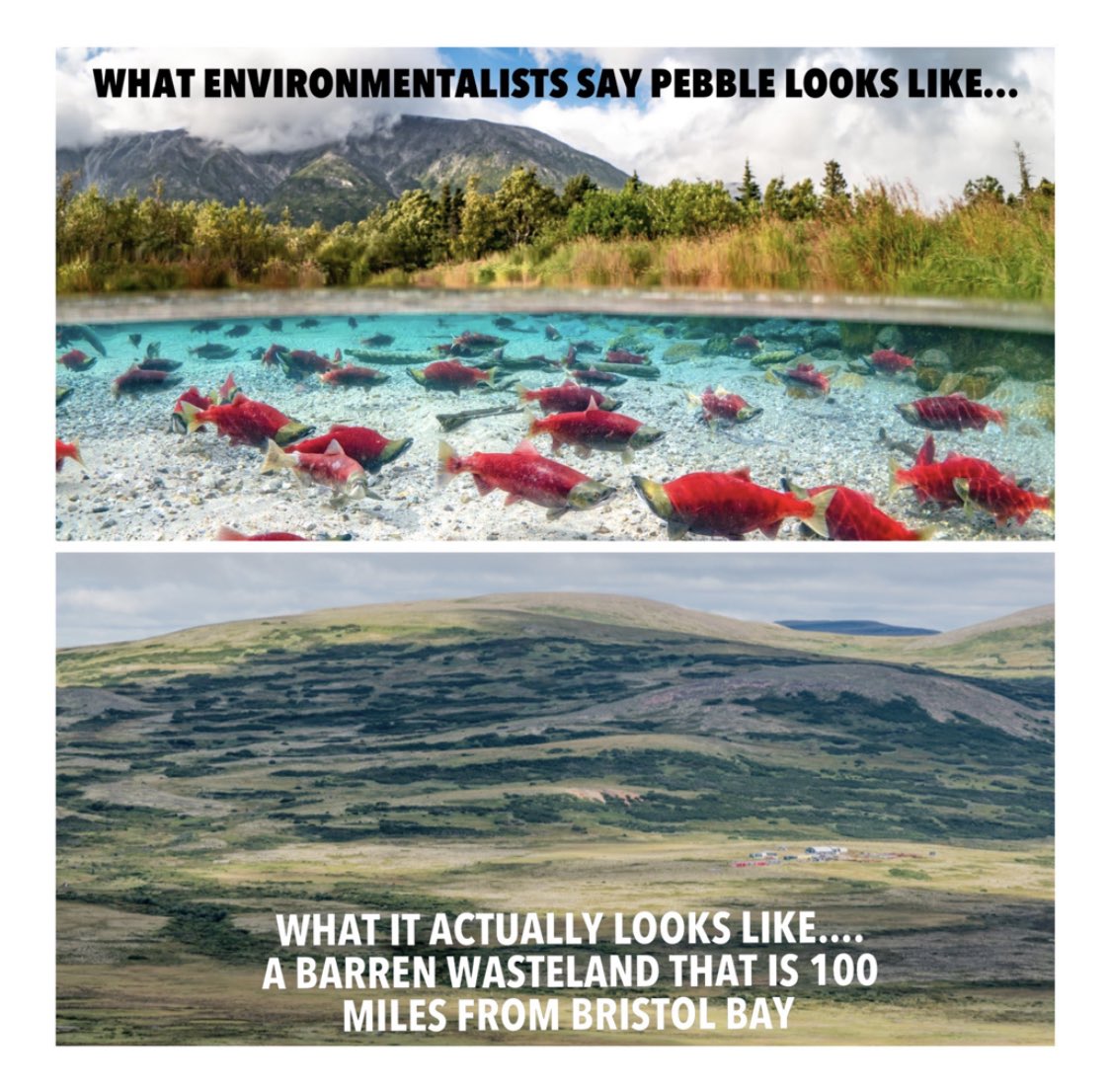 WafflesFTW27's tweet photo. @EIAEnvironment @Defenders @PTMFoundation @Inletkeeper @SalmonStateAK @portugaltheman #rhenium #minepebble #badchina https://t.co/9N5dVsPBSO