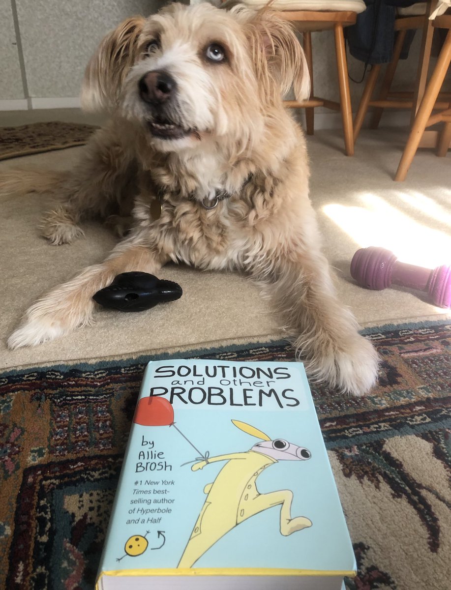 ellelljaytoo's tweet photo. A small, good thing in 2020!!! ☀️
New #AllieBrosh arrived.
Following a wonderful interview with @MarcMaron in late September. 🖊📖📚
#SolutionsAndOtherProblems ♥️ https://t.co/O23XjRndot