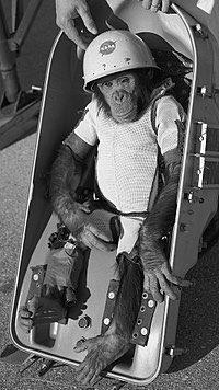 12. Ham the Chimpanzee - 8/10- first ape to orbit space & survive- trained to move the levers - this one actually makes me sad bc they used electric shocks to train him :(- all the previous monkeys they tried to send died :(- when the ape war comes we taking down NASA first