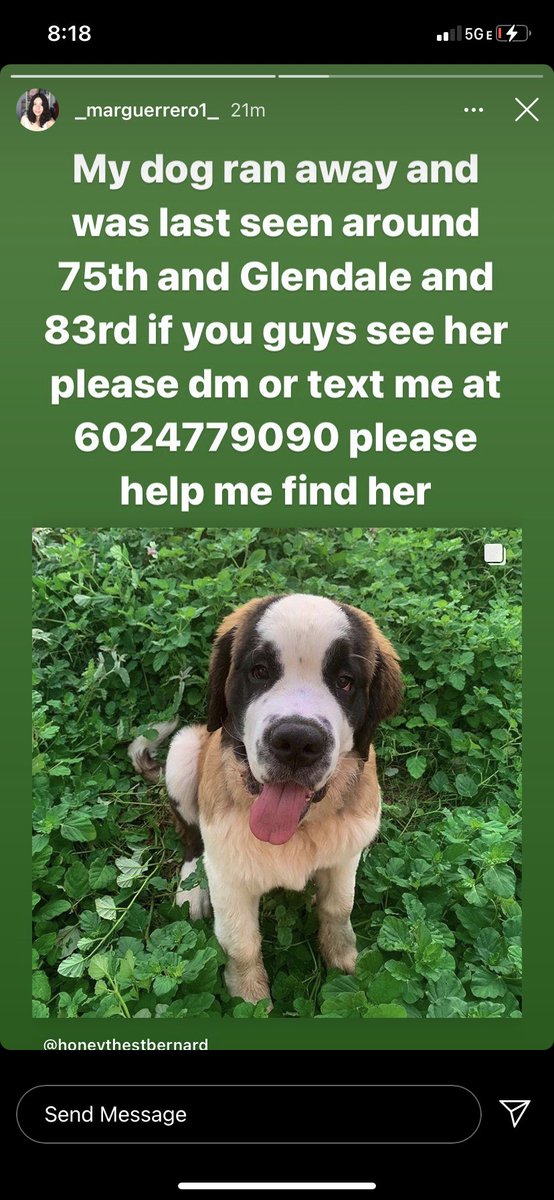 pinkkmatterrr_'s tweet photo. If you’re in the Glendale AZ Area. Please retweet. Please help me find my Honey. Her collar has all her information. https://t.co/C4hHi4sB4C