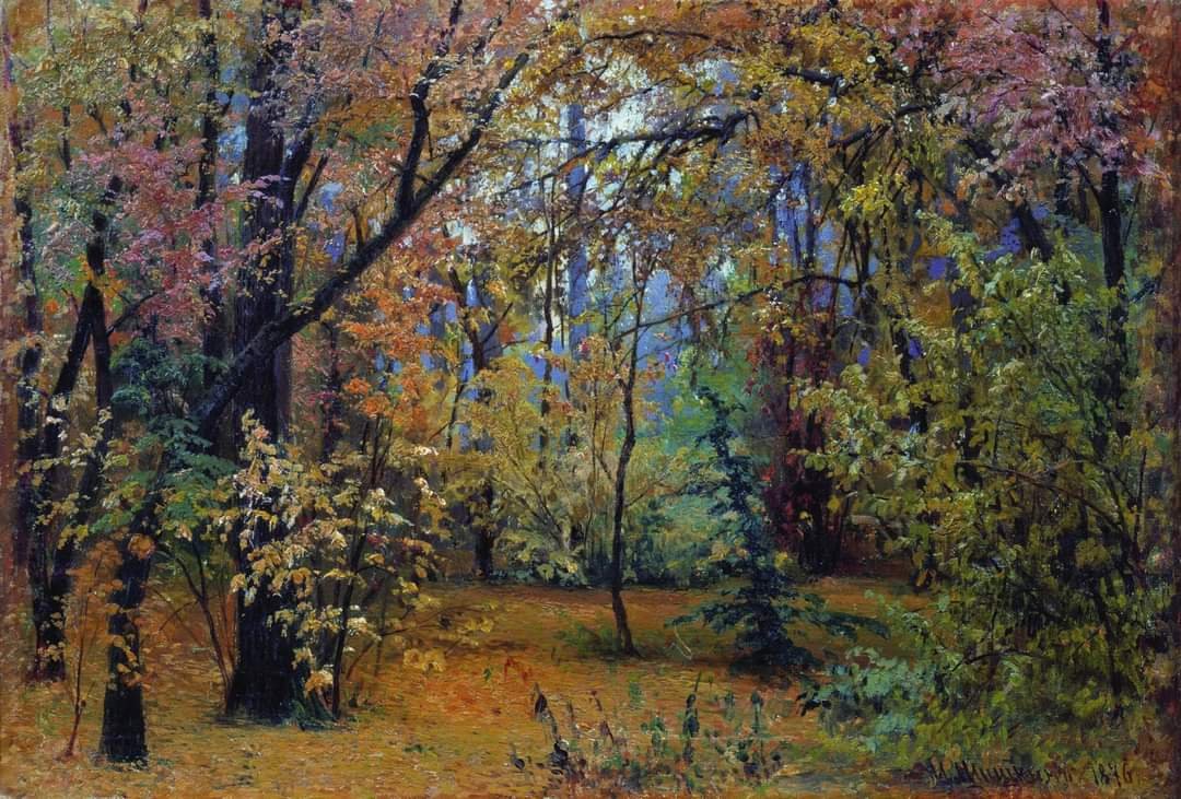 🎨 Ivan Shishkin Foresta d'autunno,1876 🏛️ Museo di belle arti I.I Mashkov, Volgograd