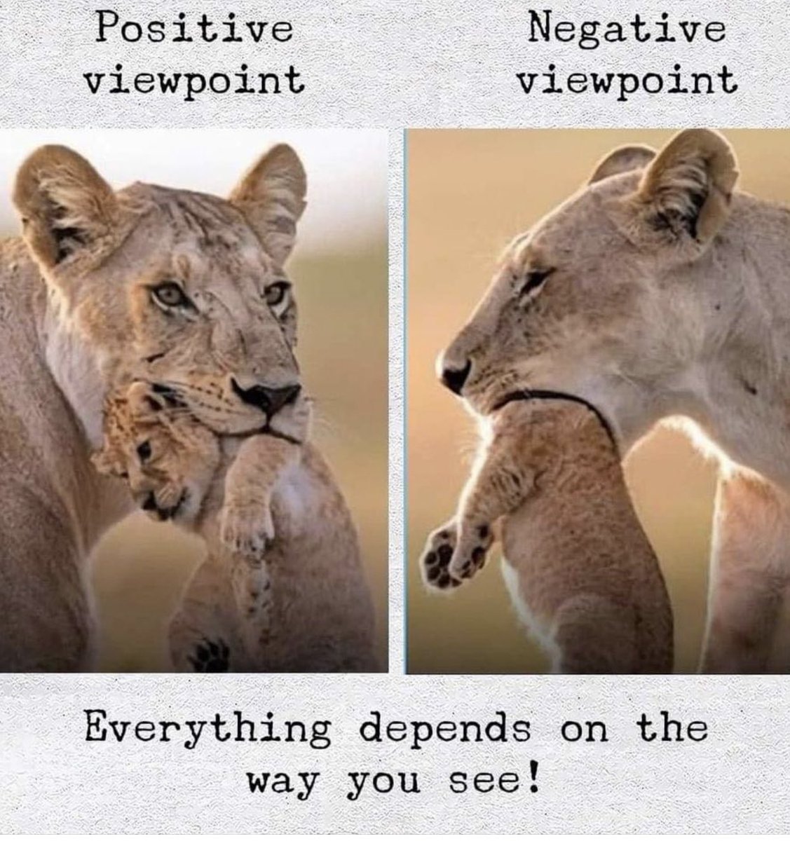 VidyutJammwal's tweet photo. https://t.co/IrO1d2XANG