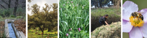 JennyGuarin10's tweet photo. #Fase2Formulacion Adaptación de la Agricultura al cambio climático. @SISSUUNAD_ZCORI @SISSU_UNAD Para adaptarse al cambio climático los agricultores deben empezar a desarrollar estrategias propias de la agricultura ecológica. https://t.co/qZi7QStIgz