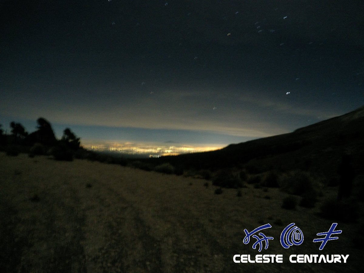 Celeste Centaury tweet media