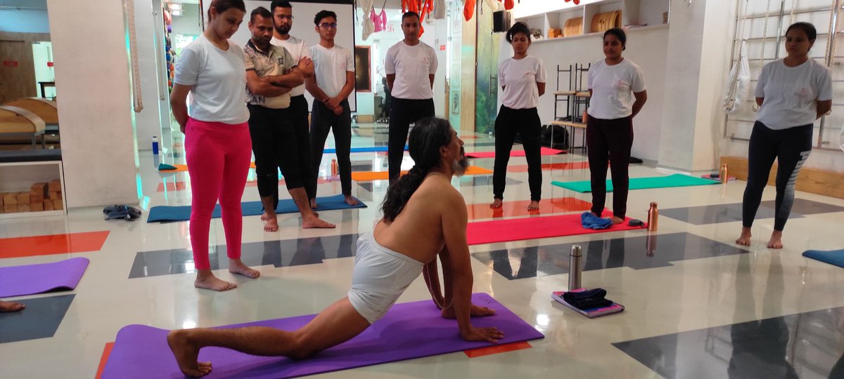 YDhakaram's tweet photo. I had discovered something; there was a pleasure in becoming something new. You could will yourself into a fresh shape. Now all I had to do was figure out how to do it out there, in my life
For More Information Visit Yoga Peace:-https://t.co/A37OPdKmb8 https://t.co/ilSCctvBKL