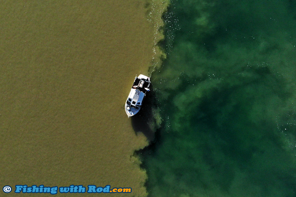 Fishing with Rod tweet media