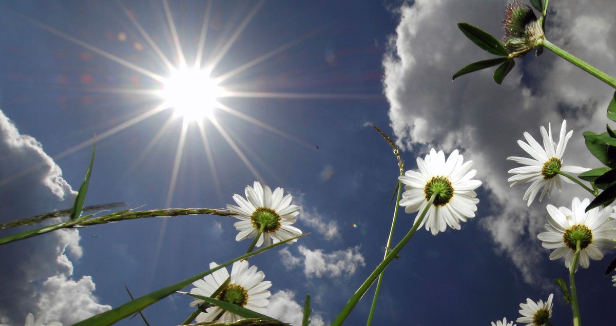 Faith is a knowledge within the heart, 
beyond the reach of proof.

 - Khalil Gibran