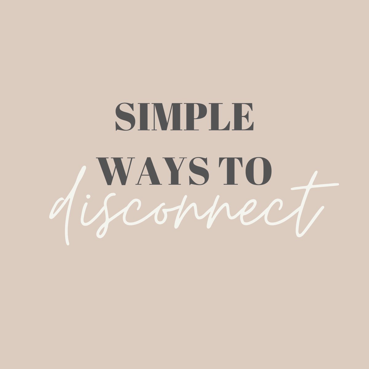 The Tidbit tweet media