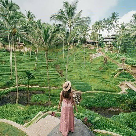 Make the most of your Bali vacation on a 3-day private sightseeing tour. The expertly designed itinerary combines the best of culture, cuisine, nature, and relaxation
For more information visit the link below viator.com/tours/Kuta/Pri…