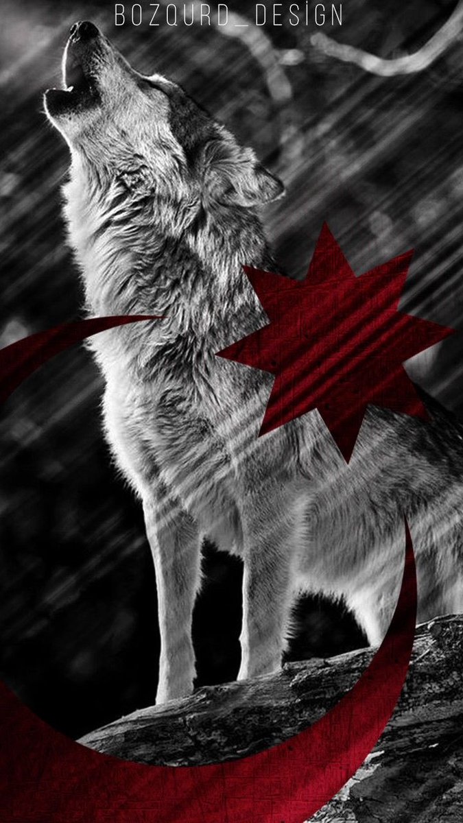 "Durup kalma zamanda,
 Gelir çağrı bir anda,
 İşte o gün, o anda,
 Sor tarihe kimim ben.
 Etme feryat bu yükten,
 Büyük vardır büyükten,
 Kaşgar, Karabağ, Kerkük'den 
 Türkçe diyen dilim ben!" 
🇦🇿