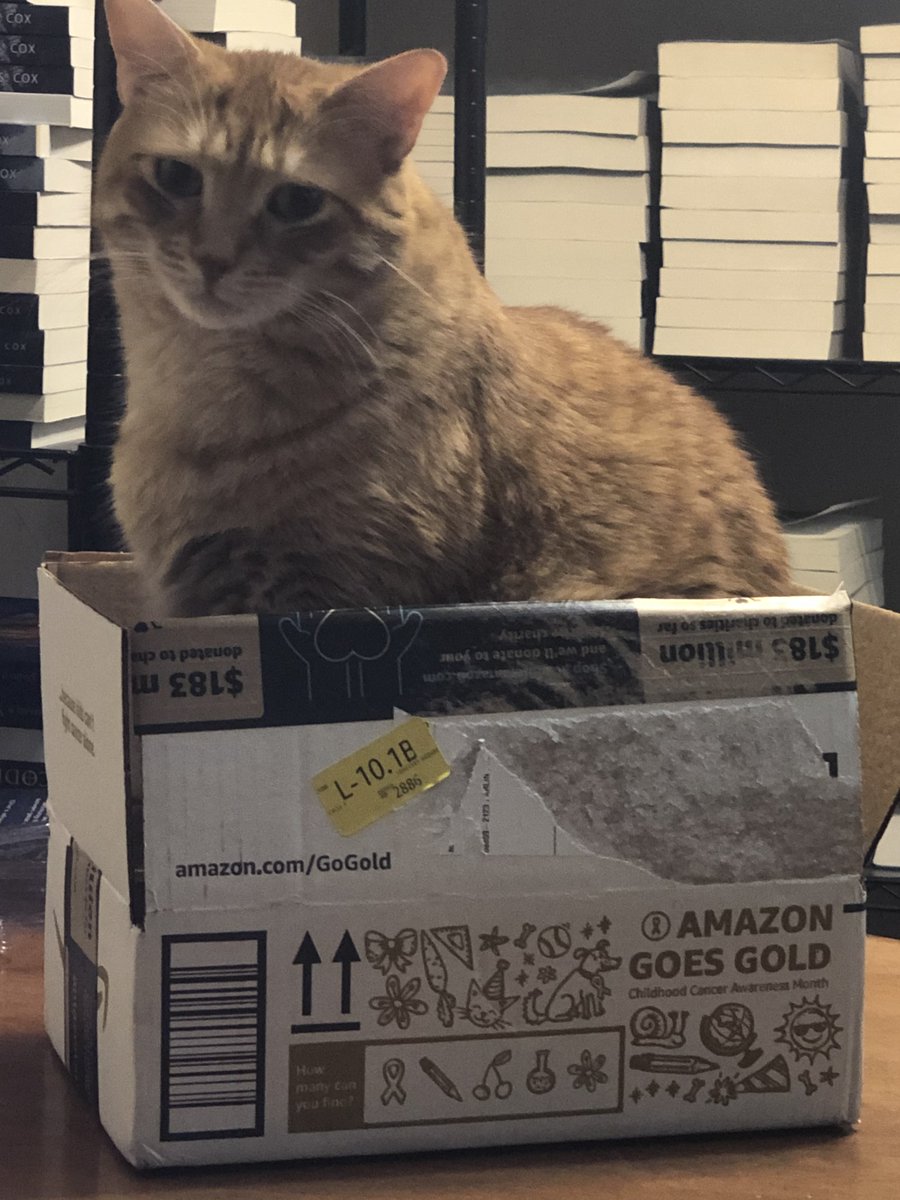 Loki doesn't really care if his butt's a bit large for the box. #cats