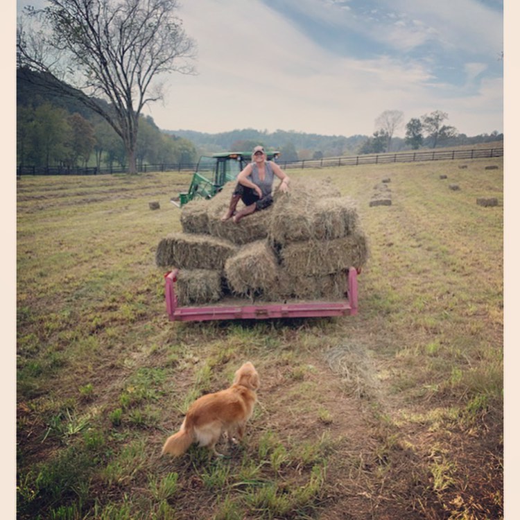 Miranda Lambert tweet media