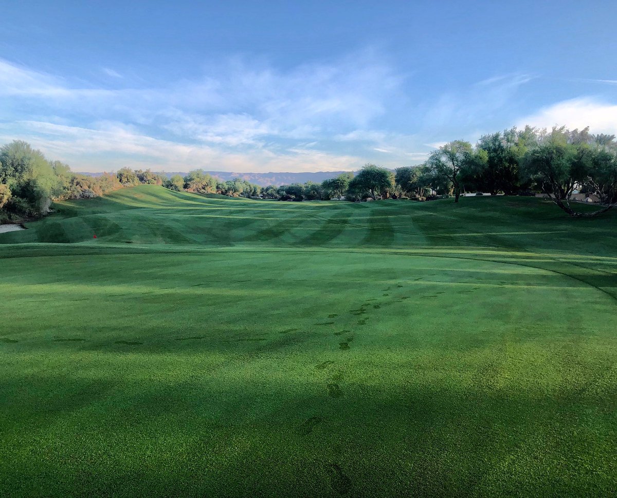 golfDWGR's tweet image. 15 day countdown⛳️
#playdesertwillow #overseed2020 #desertwillowgolfresort #thiskempersports #visitpalmdesert #golf