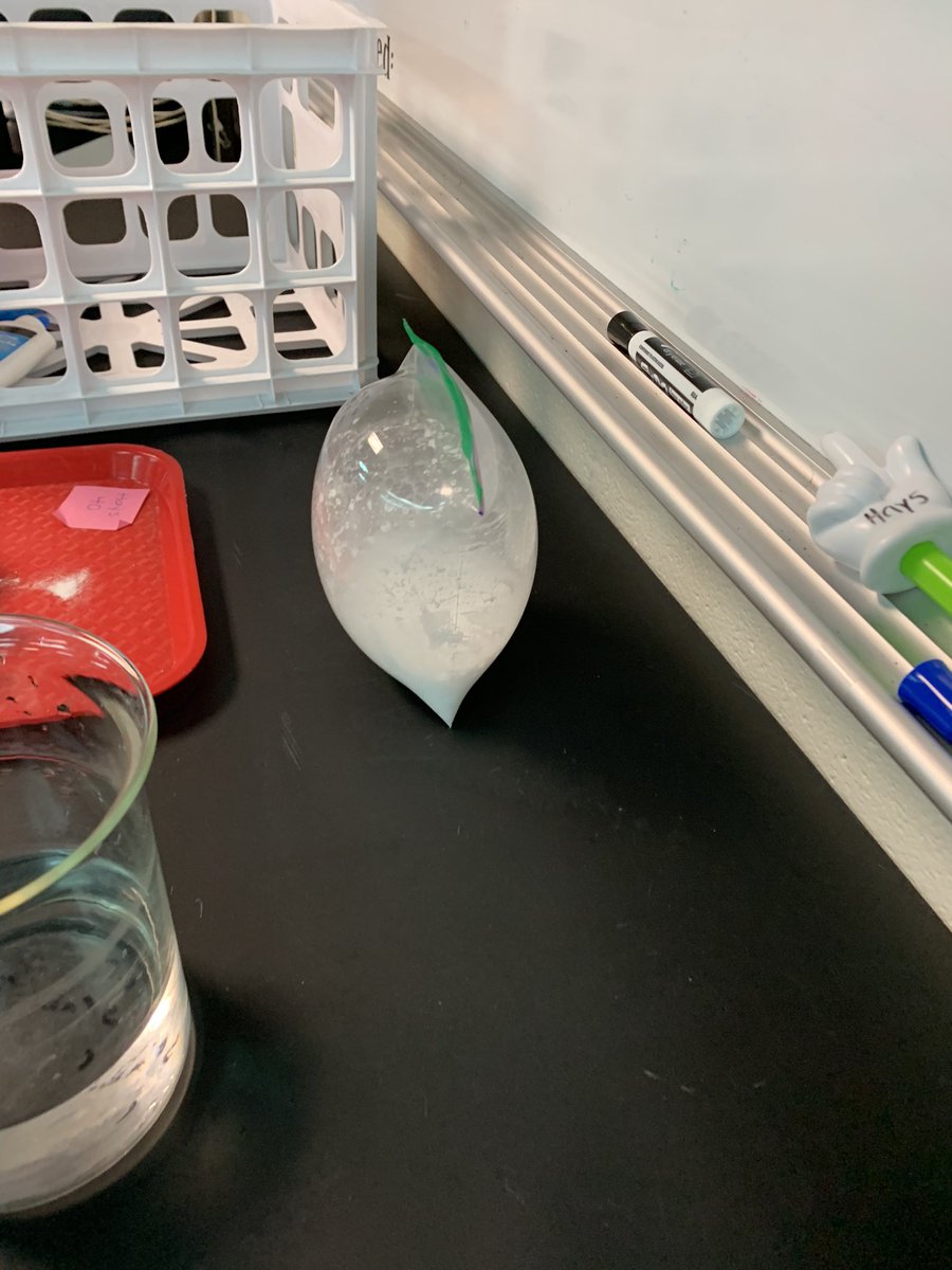 RocknwithHays's tweet photo. Baggy Boom 💥 chemical change experiment! Always a mess and never gets old! They had SO much fun!! @CryarCats #nyas #ChallengeAccepted https://t.co/24FO3tFF2S