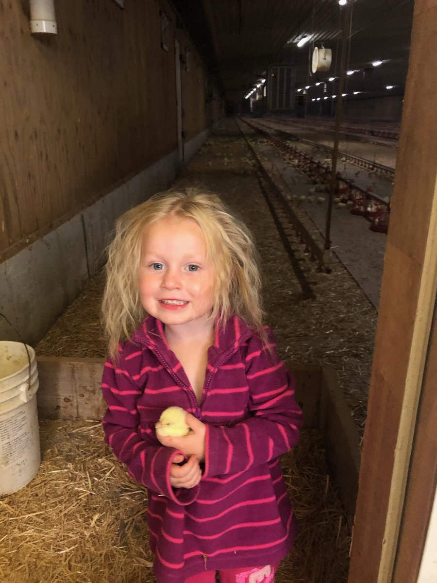Anthony Neuman submitted
Don’t care about messy hair. ⁦<a href="/HDCFeed/">Hensall Co-op Animal Nutrition</a>⁩ #flauntyourflock