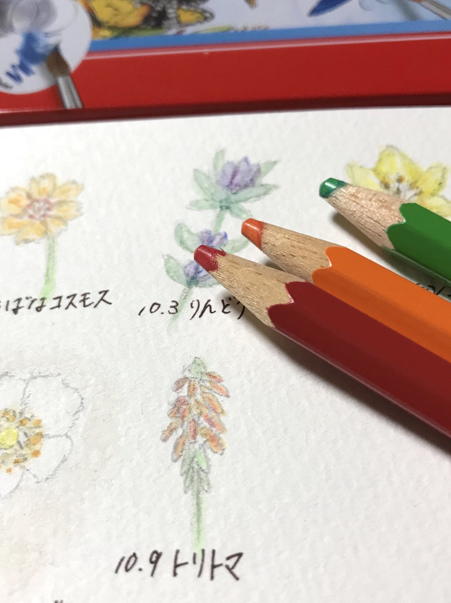 Atelier M Birthday Flowers 10月9日の誕生花は トリトマ 花言葉は 情熱家 切ない思い など お誕生日の皆さん おめでとうございます 赤いたいまつが燃えているような花姿から英名で Torch Lily トーチリリー と呼ばれています 10月9日誕生