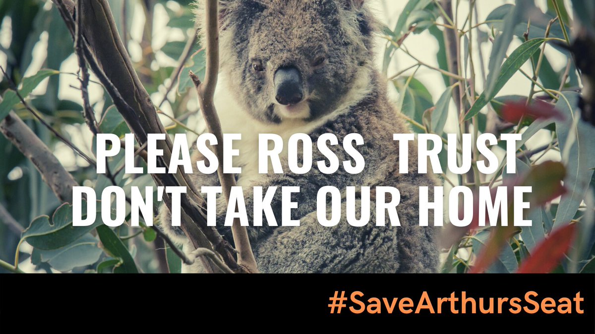 SaveArthursSeat's tweet photo. Marking #AustralianWildlifeWeek by again asking @rosstrust to reconsider their plans for a huge new 107 acre quarry on Arthurs Seat. They've already said we can't access their land to complete an independent ecological assessment. Remnant habitat will be lost. #SaveArthursSeat https://t.co/fZDF7Dhb3g