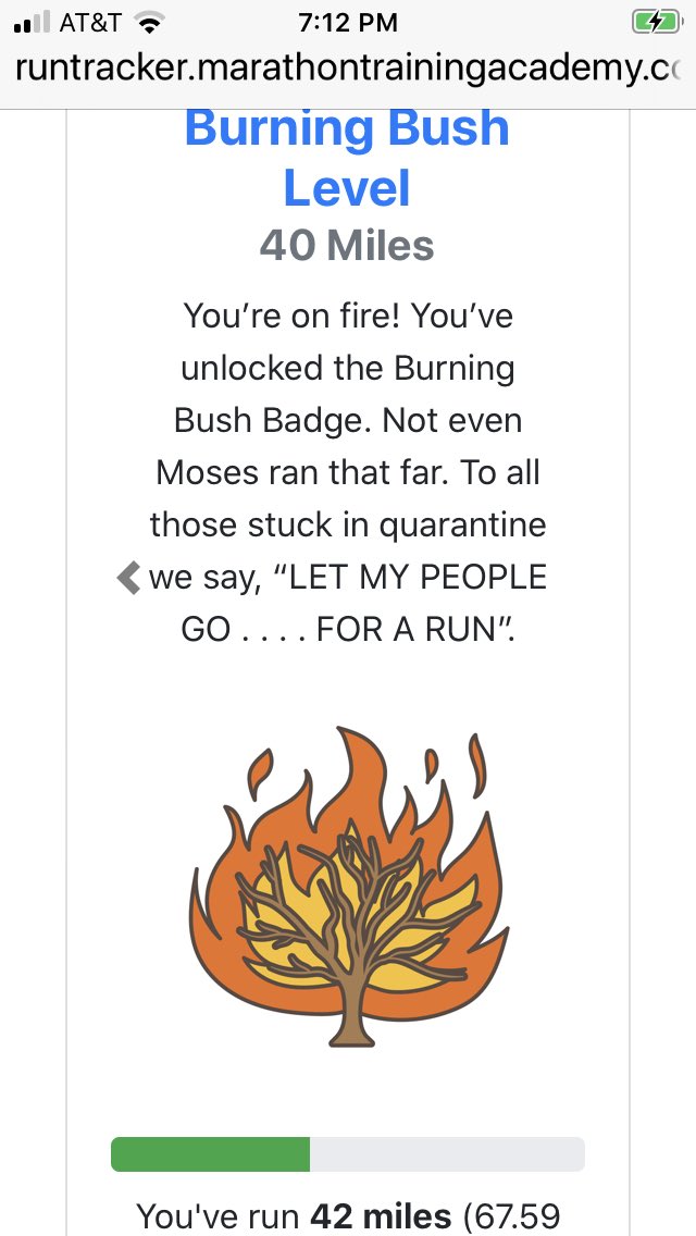 JaneRose50's tweet image. Making progress! 42/100 miles! All walking, no running! 🔥 #socialdistancerun